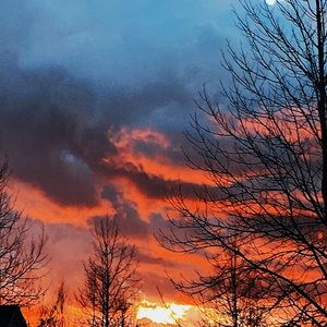 Meet your Posher, Heidi